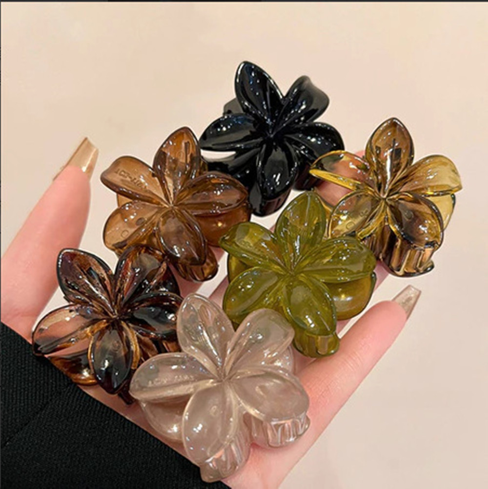 6 stks/set Vintage Amber Luipa - Hair Claw Clip Set recensie en prijs
