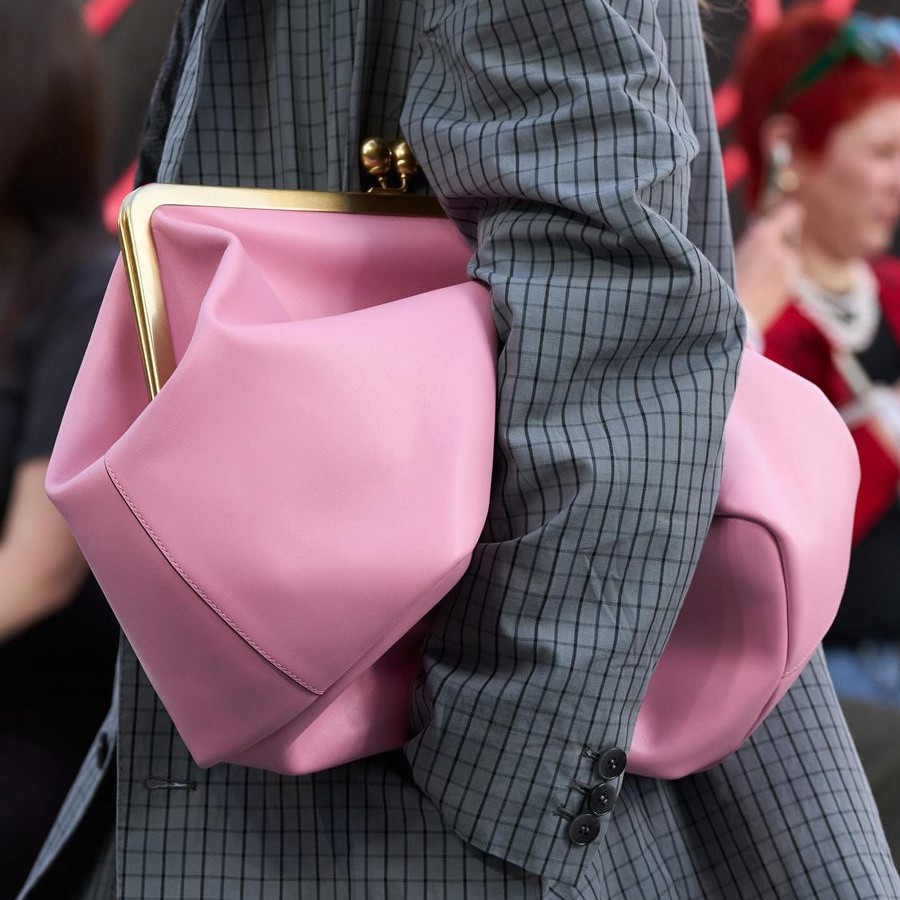 Klassieke Kisslock Frame Clipt - Women'S Accessories Purse recensie en prijs